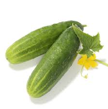 Image result for Cucumis cinereus