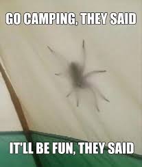 The Great Outdoors Meme Guy