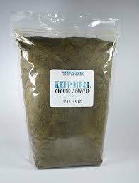 Kelp meal is made from dried ocean seaweed that is then ground up into a meal type product. Amazon Com 10 Pounds Maxicrop Organic Kelp Meal 1 0 2 Natural Norwegian Kelp Seaweed Fertilizer Beauty