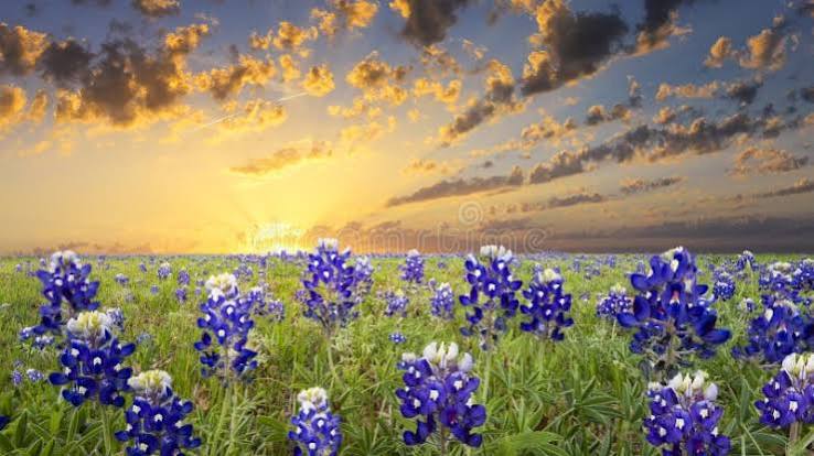 1,227,835 Country Blue Stock Photos - Free & Royalty-Free Stock Photos from  Dreamstime