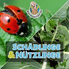 Biologische Schadlingsbekampfung Durch Artenschutz Artenschutz Schadlinge Im Garten Schadlinge
