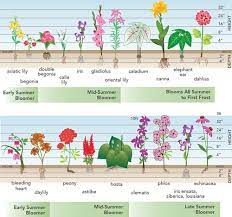 What flowers bloom in spring? Planning For Spring Planted Bulbs