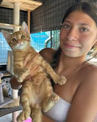 Hooray for Paul E! ❤️ All of our sweet polydactyl (extra toes) kittens flew  right out the door and were so happy for them. Making a difference one  animal at a time.