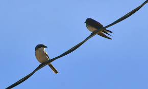 EDIT 3: Added a photo I forgot I took