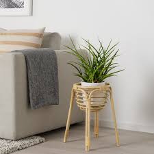 Buskbo Plant Stand Rattan Ikea Rattan Furniture Ikea Plants Ikea Plant Stand