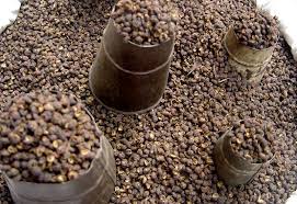 Pantai timur von mapcarta, die freie karte. Pantai Timur In English Amed Travel Guide At Wikivoyage Projek Landasan Kereta Api Pantai Timur Ecrl Bukan Sahaja Menjadi Pencetus Pembaharuan Buat Sistem Pengangkutan Rosiblue