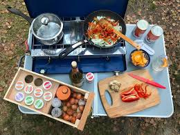 We did not find results for: Best Portable Propane Camping Stove 2021 Parked In Paradise