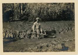 Charleston, South Carolina - The Transatlantic Slave Trade