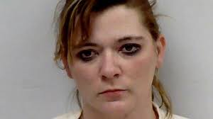 Shepherd resident arrested in the Soo for meth possession