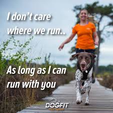 Nothing Beats Running With Your Best Buddy Dog Quotes Puppies And Kitties Running