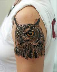 55 Awesome Owl Tattoos Cuded Owl Tattoos On Arm Owl Tattoo Meaning Owl Tattoo Design