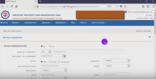 How to activate our online epf account with our activation code? Pf Registration For New Employees Uan Generation In Epf Online