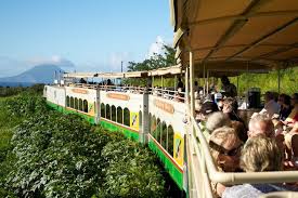 St Kitts Scenic Railway 3 Hour Tour That Makes A 30 Mile Circle Around The Beautiful Eastern Caribbean Travel Southern Caribbean Cruise Southern Caribbean