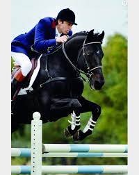 Son of horse breeders, the young man spent his childhood in the countryside near paris. Jappeloup 4 Choses A Savoir Sur Le Film Avec Guillaume Canet Terrafemina