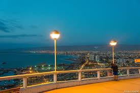 Se trata de la historia de pedro araniva pavián, quien busca obsesivamente al científico robert sapolsky, su doppelgänger, su doble. Happiness By The Kilowatt