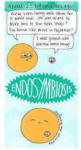 Endosymbiosis Biology Humor Biology Jokes Life Science Lessons