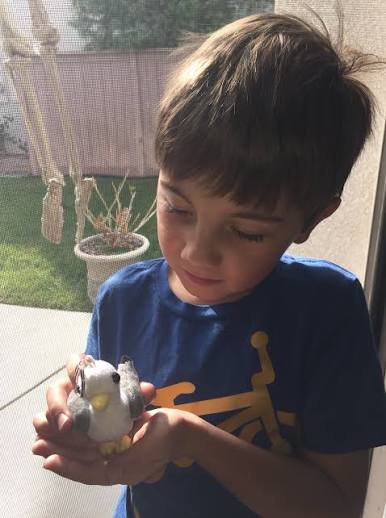 My friends at Shore Buddies have a new kids book coming out and a new plush  turtle too to join their family of sea animals. All of their toys are made  with