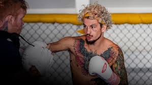 Kris moutinho, with official sherdog mixed martial arts stats, photos, videos, and more for the bantamweight fighter from united. Sean O Malley Ufc