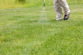 25 reviews of command pest control if you want dead bugs call them they are and always have been for 20 years the best i've seen in florida if your pompano beach home is plagued with pests, x terminator pest control is the one to call! Pest Control Company Broward County Termite Rodent Control Palm Beach County