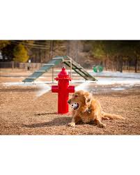We did not find results for: Misting Fire Hydrant Barkpark Dog Park Equipment Park Warehouse