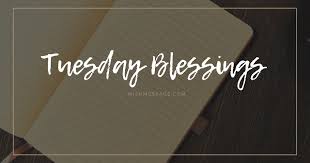 We did not find results for: Tuesday Blessings Happy Tuesday Wishes Messages Or Quotes