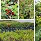 Urban Rooftop Farm – wethefarm (25 & 26 Oct 2025) event image