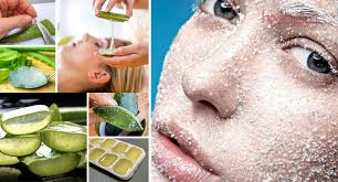 Aloe vera atau lidah buaya adalah sejenis pokok berdaun runcing dari keluarga liliaceae sama seperti bawang putih dan merah. Salah Satu Rahsia Kecantikan Cleopatra Dan Ini Cara Betul Gunakan Aloe Vera No 5 Khas Untuk Rawat Kulit Kusam Hijabista