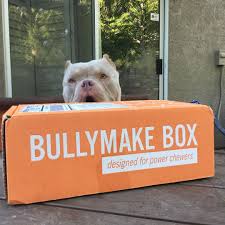Couldn T Wait Until After The Pictures For My Toy Zeusthebully916 Bullymake Com Americanbully Zeusthebully Dog Treat Toys Dog Box Subscription Dogs