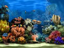 Maybe you would like to learn more about one of these? 1498 Screensavers For Microsoft Windows Free Downloads
