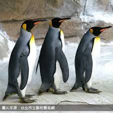 頂埔 永寧 土城 海山 亞東醫院 府中 板橋 新埔 江子翠 龍山寺 西門 善導寺 忠孝 新生 忠孝 復興 忠孝敦化 國父紀念館 市政府 永春 後山埤 昆陽 南港 南港展覽館. æœ¨æŸµå‹•ç‰©åœ'taipei Zoo å¤¢çŽ©å®¶åŒ…è»Šæ—…éŠtaiwan Chartered Tour å°åŒ—åŒ…è»Šæ—…éŠå°åŒ—æ—…éŠå°åŒ—æ—…éŠåŒ…è»Š