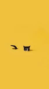 28 cute, cuddly & majestic black cat wallpaper images for your iphone (because black cats bring good luck). Black Cat Aesthetic Desktop Wallpaper Novocom Top