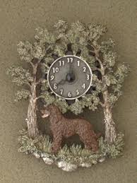 Image result for irský vodní španěl