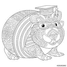 Ausmalbild hase mandala stylized baby rabbit and cornflowers freehand sketch for. Pin Op Cavia Kleurplaten