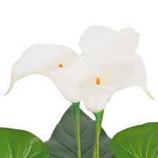 Thompson tamed1977 june 09, 2021 come arredare casa per creare un'atmosfera accogliente: Vidaxl Calla Lily Artificiale Con Vaso 85 Cm Bianco Arredo Giardino Epto