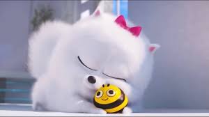 The story of a bog, or more the life contained within. Alec Behan On Twitter Tomorrow Is The 1 Year Anniversary Of The Secret Life Of Pets 2 2019 So My Favorite Scene In The Movie Is The Part Where Gidget Was Taking A