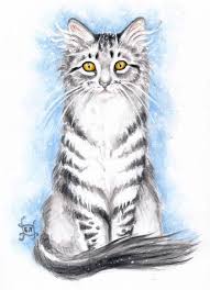 Maybe you would like to learn more about one of these? Silver Tabby Kitten By Evey Studios Silver Tabby Cat Silver Tabby Kitten Tabby Kitten