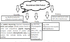 Maybe you would like to learn more about one of these? Pdf Role Of Biotechnology In Human Health Care Semantic Scholar