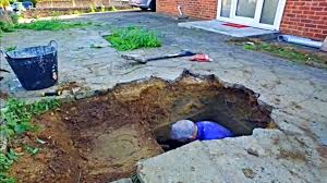Man Kept Hearing Strange Noises Under Driveway, Look What He Found Inside -  Relatively Interesting