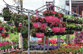 Shop plants & garden flowers and more at the home depot. The Home Depot How Home Depot S Addressing Neonic Concerns