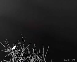 May 31, 2021 · سحابة سوداء غطي سماء فيصل إثر حريق مخزن حي الهرم (فيديو) 01:32 م الإثنين 31 مايو 2021 حريق مخزن حي الهرم ØµÙˆØ± Ø³ÙˆØ¯Ø§Ø¡ 2017 Ø®Ù„ÙÙŠØ§Øª Ø³ÙˆØ¯Ø§Ø¡ Ø³Ø§Ø¯Ù‡ Ù„Ù„ØªØµÙ…ÙŠÙ… Photo Black Iphone Wallpaper Black