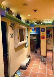 Comment below with any video suggestions, feedback some information on how to hang catwalks, ,where to hang them, and how to help your cats learn to. Zen By Cat House Of Nekko Catwalks