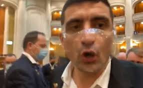 Dan Radulescu AUR Arhive