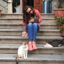 Crazy Cat Lady Is Loaaadiiing Catlovers Campuslife Brightside In 2020 Crazy Cats Crazy Cat Lady Cat Lovers