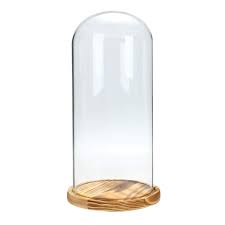 Check spelling or type a new query. Jordan Hypnose De Home Decor Home Garden Wood Base Decor Glass Globe Display Dome Cover Cloche Bell Jar Dry Flower Vase
