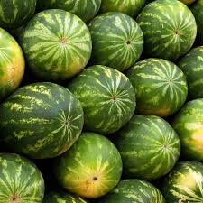 Anguria Crismon Sweet - I Migliori Semi da Orto Solo su Bestprato.com