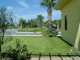 There is a series of simple to make preparations to plant grass seed in a new lawn, soil should be loosened two to three inches deep. Florida Gardening What Kind Of Lawn Is Best To Plant For Full Sun