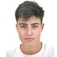 70+ "Gomez Melchor" profiles