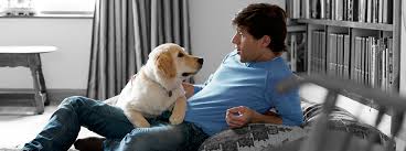 How long does it take for the first litter of kittens to be born? Dog Birth And Labour Problems To Look Out For Purina