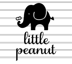 Download Baby Onesie Svg Baby Shower Elephant Little Peanut Svg Baby Shower Gift Baby Shower Decorations Baby Girl Elephant Elephant Onesie Peanut Baby Shower
