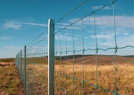 Developing a pest animal management plan ways to monitor pest animals general information about pest animals Tough Times Reveal Value Of Exclusion Fencing